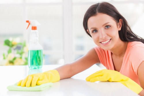 Professional move in cleaning in a bright empty living room
