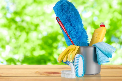 Regular cleaning routine in a bright home interior