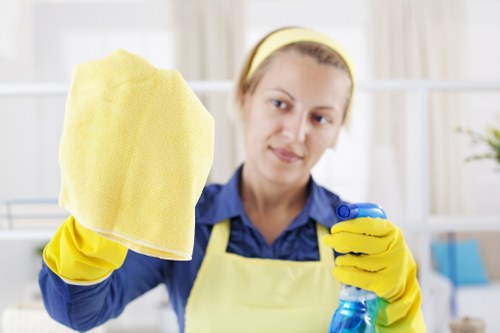 Bathroom domestic cleaning with sanitised fixtures