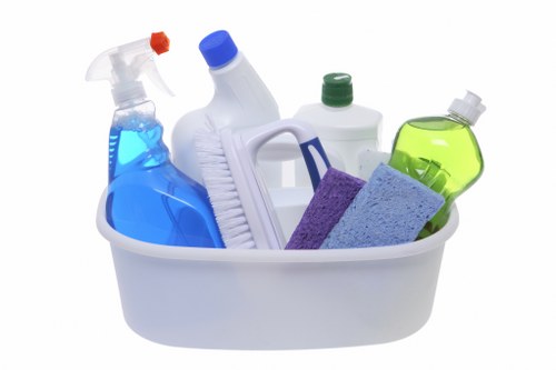 Home carpet cleaning routine in a high traffic room