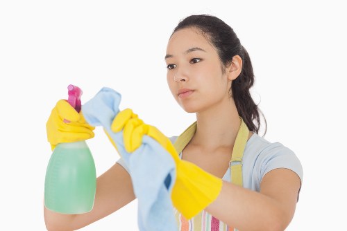 Step-by-step routine oven cleaning process
