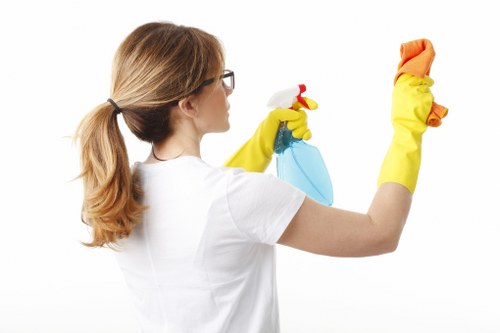 Professional deep cleaning of kitchen and bathroom surfaces